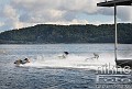 DSC_1784