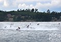DSC_5916