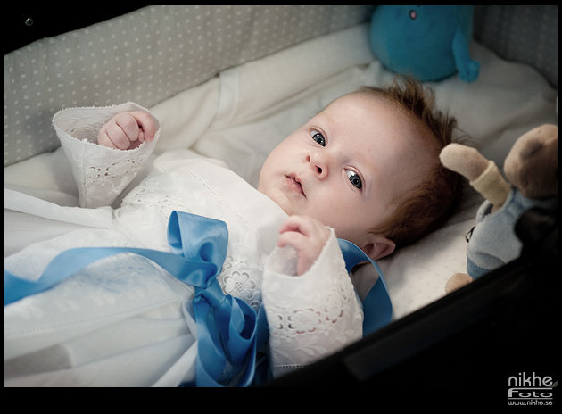 169.jpg