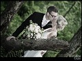 123